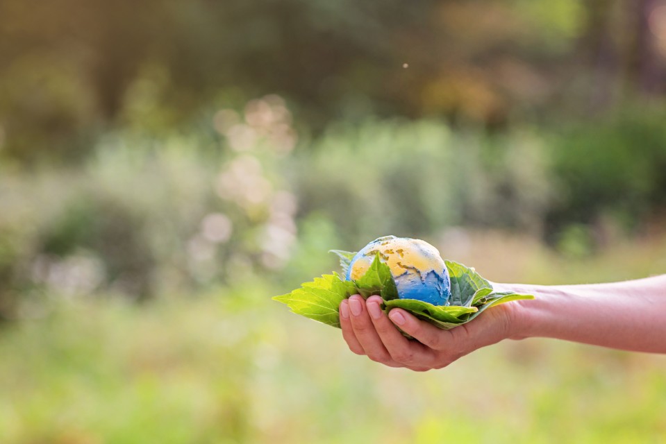 Engagement écologique du Parc Loisirs et Nature de la Porte du Hainaut – main tenant une Terre miniature entourée de feuilles